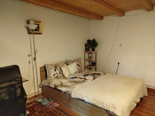 Bacau Chalet De Esquí | Casa cu amintiri