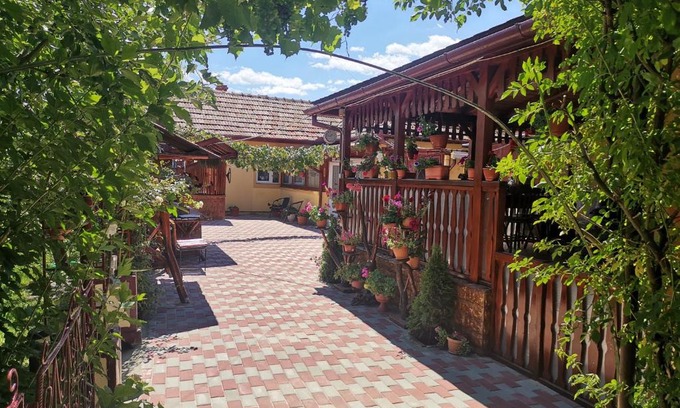 Hateg Casa | Casa Dana
