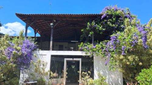 Eldorado Casa | Casa Darwin