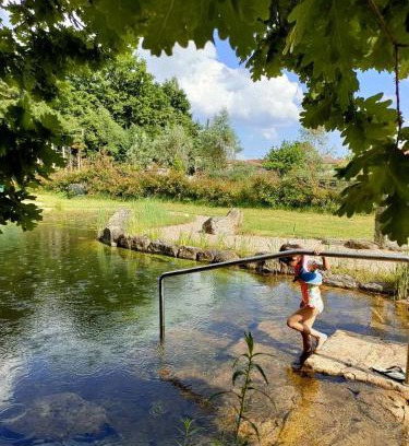 Mangualde Casa | Casa Das Palmeiras-Pedagogic Farm