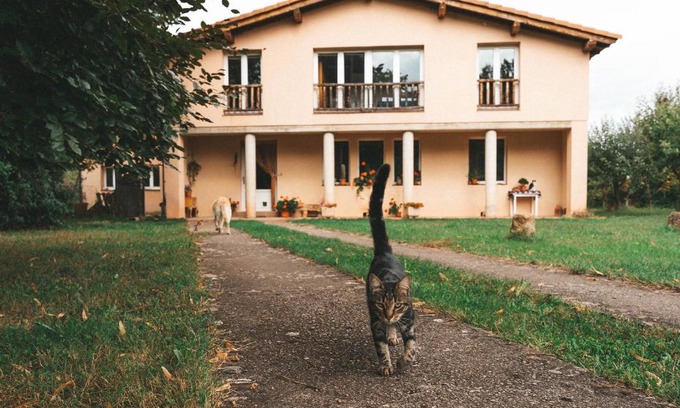 Estollo Casa | Casa de Campo La Solana
