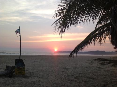 Ixtapa - Zihuatanejo Casa | Casa de la Tortuga
