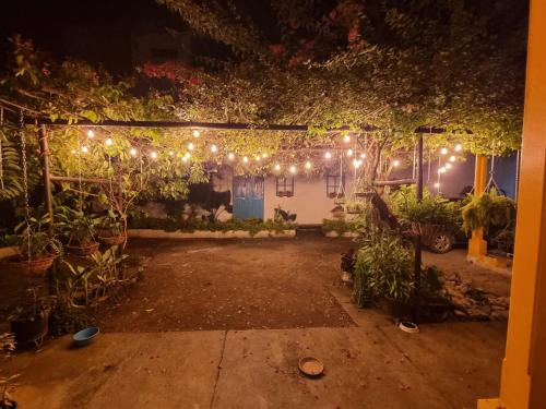 La Dorada Casa | Casa de Luna