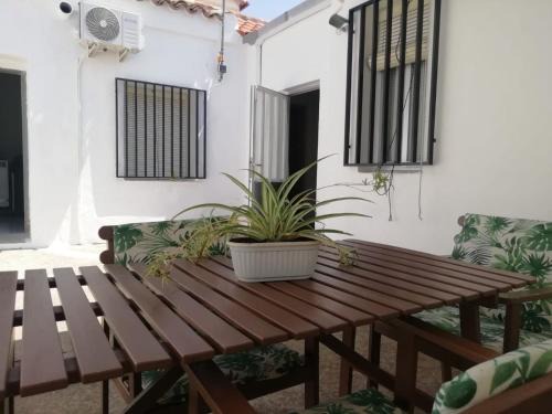 Mora Casa | Casa de Tina y Cora