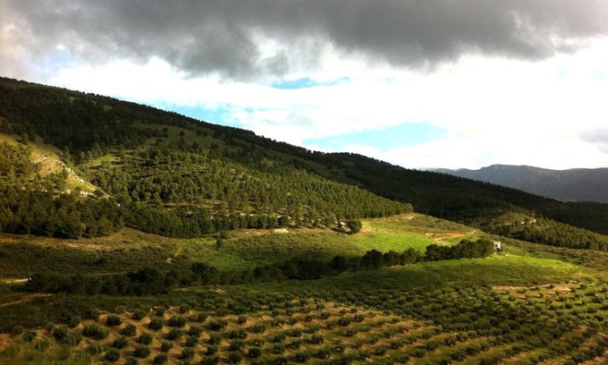 Jaen Casa | Casa Dehesa San Cristóbal, Jaén