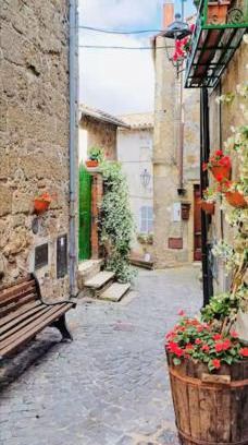 Farnese Casa | casa dei callocallo