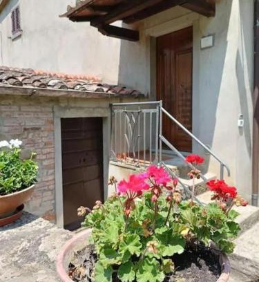 Castiglion Fiorentino Apartamento | Casa dell Ulivo