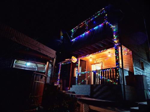 Oestii Paminteni Casa | Casa Diana