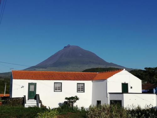 Madalena Casa | Casa dos biscoitos