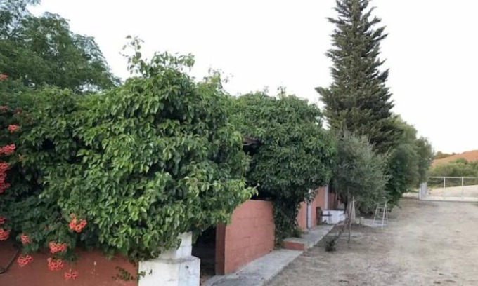 Medina-Sidonia Casa | Casa El Berrueco, rural lodging