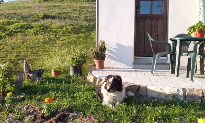 Sevares Casa | Casa El Collau