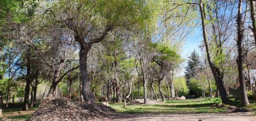Tunuyan Chalet De Esquí | Casa en El Manzano Histórico, Valle de Uco