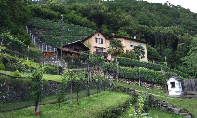 Roveredo Apartamento | Casa immersa nel vigneto