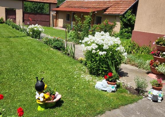 Pui Casa | Casa Izvorul Rece