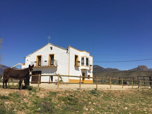 Apies Casa | Casa Justo