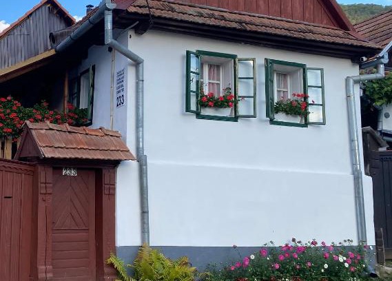 Rimetea Casa | Casa Kelemen Irén