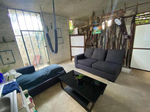Zama Casa | Casa Kuma