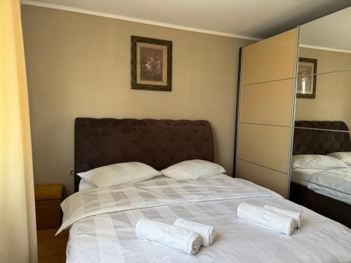 Borsa Casa | Casa Larisa Borsa