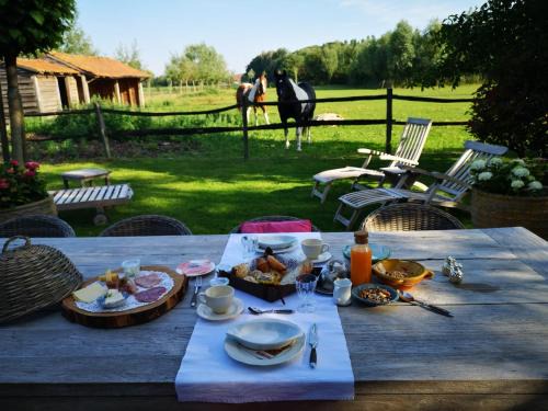 Oostkamp Cama Y Desayuno | Casa Leone near Bruges with jacuzzi & parking