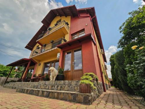 Albestii Paminteni Casa | Casa Leu