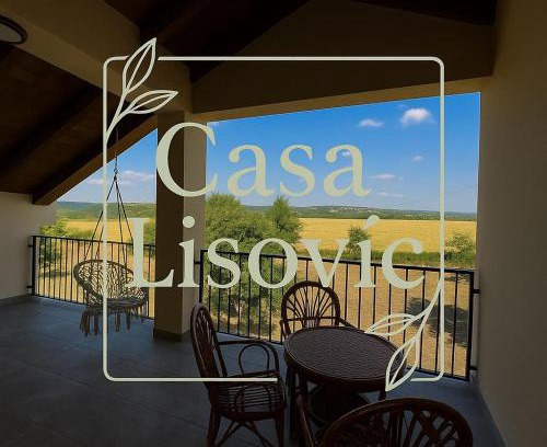 Mladenovac Casa | Casa Lisović
