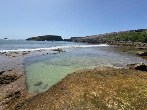 Islote Casa | Casa Lula Beach Retreat - Fenced backyard
