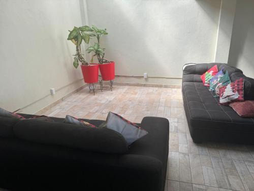 Tlayecac Casa | Casa Mabel