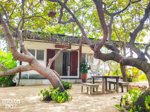 Atins Casa | Casa Mais Amor
