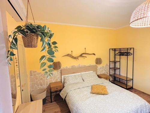 San Vito Casa | Casa Mama Yeya