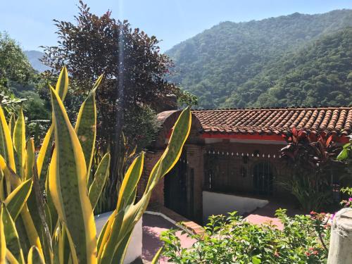 Boca de Tomatlan Casa | Casa Margarita- escapa a la naturaleza