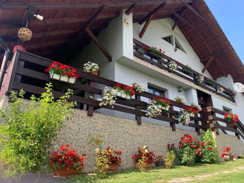 Piatra Fantanele Casa | Casa Maria