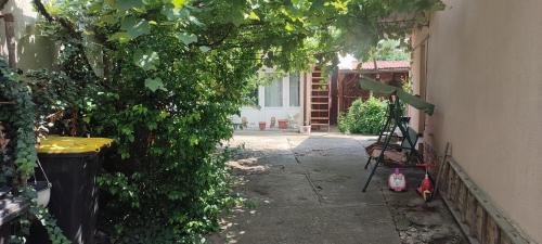 Turda Casa | Casa Maya