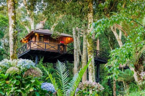 Monte Verde Cabina | Casa na Árvore Monte Verde