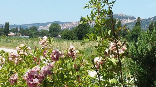 Casenuove Apartamento | Casa Nonna Jole