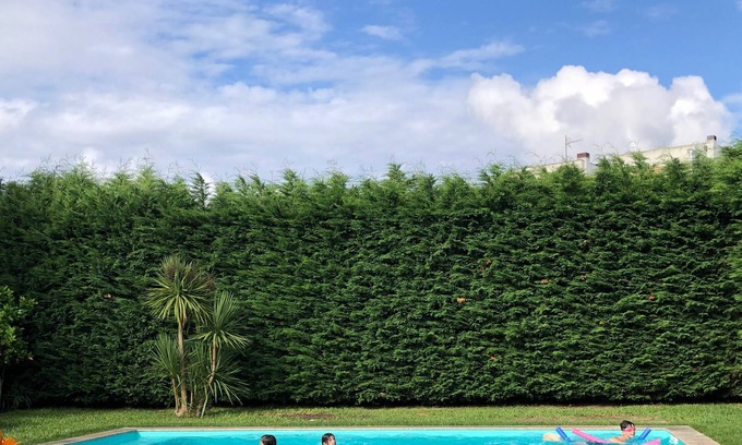 Viana do Castelo Cabaña | Casa Pedro and Inês - Holydays House - Tourism and leisure on the Green Coast!