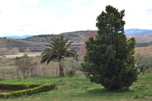 Lapuebla de Labarca Casa | Casa Pichon Etxea