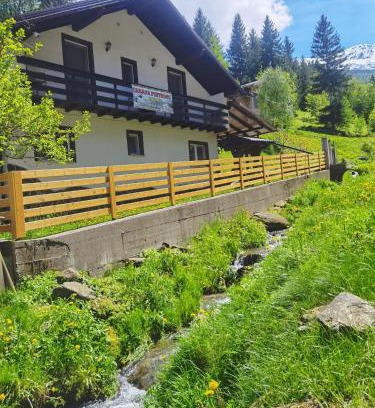 Borsa Casa | Casa Pietrosu Rodnei