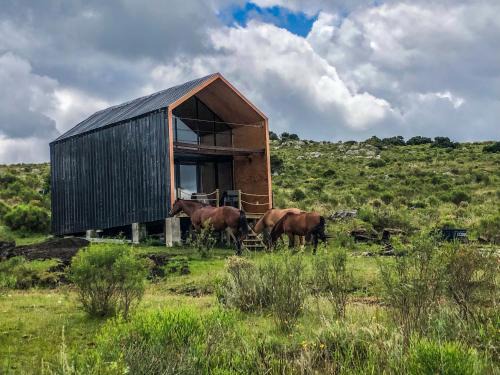 Lavalleja Casa | Casa Pitoco - Magia en las Sierras