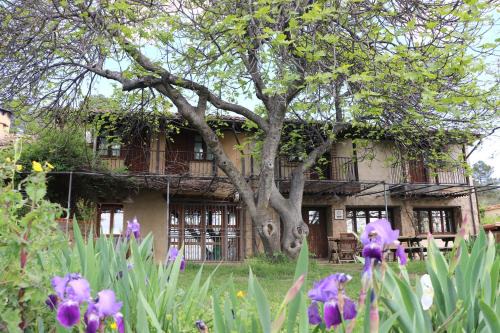 Villanueva De La Vera Casa | Casa Rural - Apartamentos Atuvera