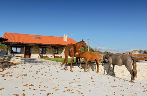 Valle de Mena Casa | Casa Rural El Ribero II