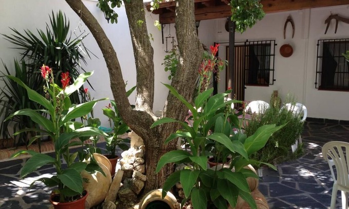 Villa de Don Fadrique Casa | Casa Rural el Rincon del Infante
