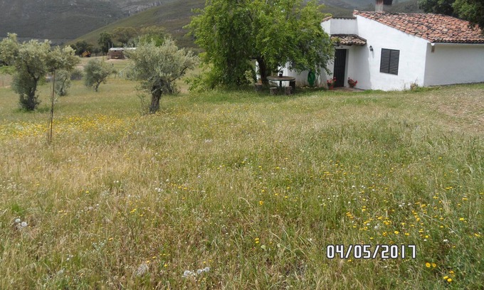 Canamero Casa | AR La Jara Ctra EX 102, Km 61,800 10136 Cañamero (Caceres)