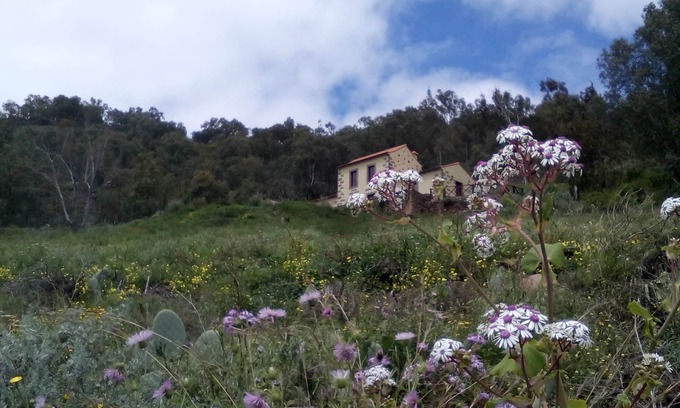 Teror Cabaña | Casa Rural Las Caldereras