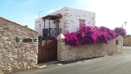 Tuineje Casa | Casa Rural Tamasite