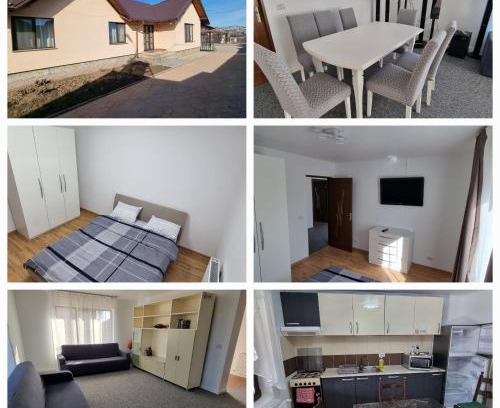Letea Veche Casa | Casa Sava
