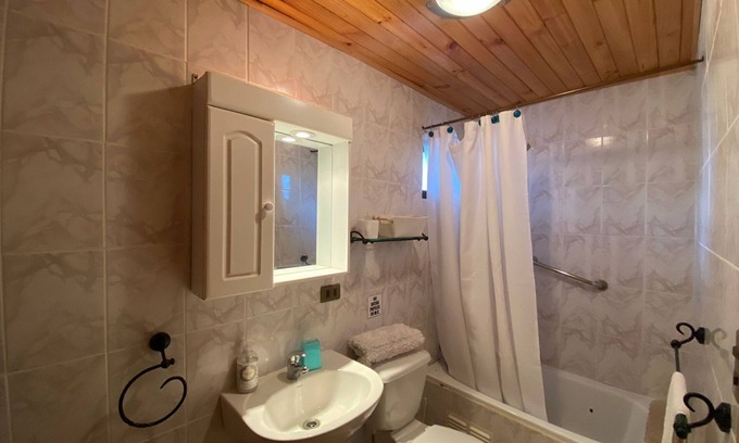 Chillan Viejo Casa | Casa Tetelhue Cabaña 4 personas