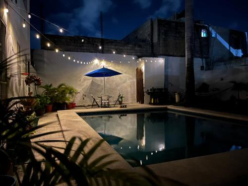 San Miguel Casa | Casa Toadfish