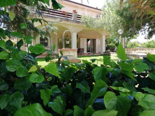 Pisticci Casa | Casa Vacanza Angela