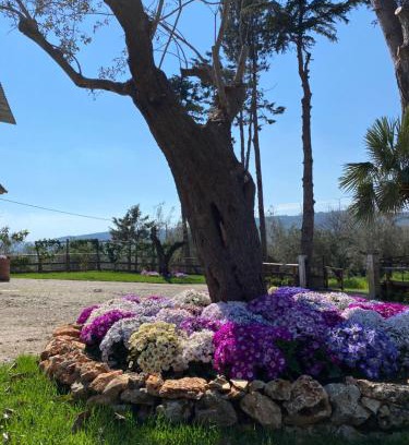 Albanella Casa | Casa Vacanza Capozzoli
