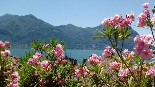 Lovere Old Town Apartamento | Casa Vacanze da Graziella